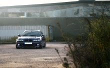 Черный BMW 3 series выглядывает из-за кустов